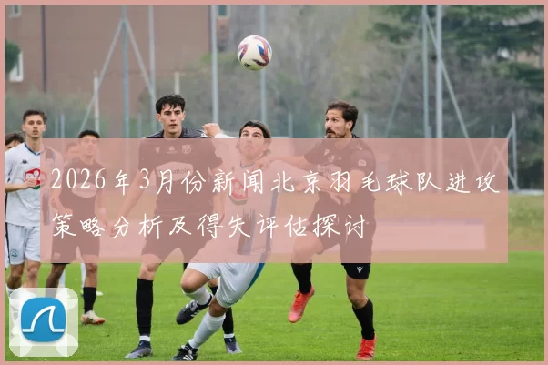 2026年3月份新闻北京羽毛球队进攻策略分析及得失评估探讨