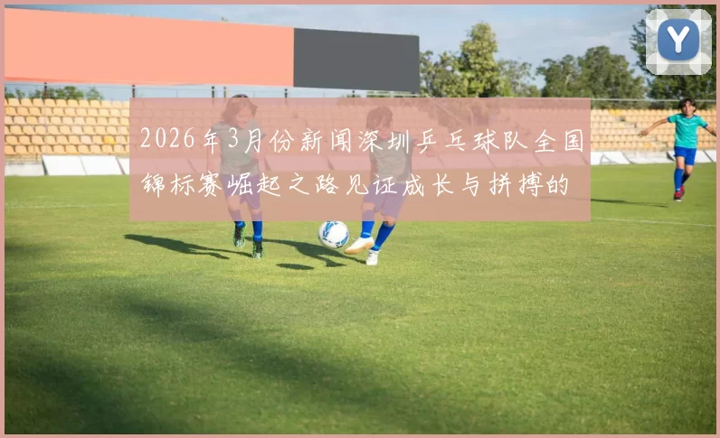 2026年3月份新闻深圳乒乓球队全国锦标赛崛起之路见证成长与拼搏的精彩故事